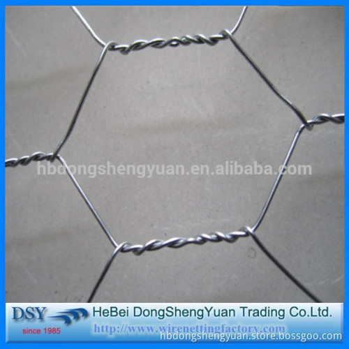 Hexagonal Wire Netting/chicken wire mesh for plastering
